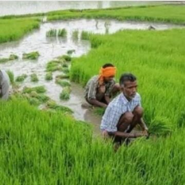 किसानों की आय दोगुनी करने के लिए मिलेंगे नए तोहफे