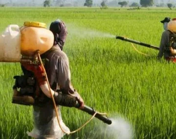 pesticides कीटनाशक का इस्तेमाल करें, लेकिन जरा संभल कर……..!